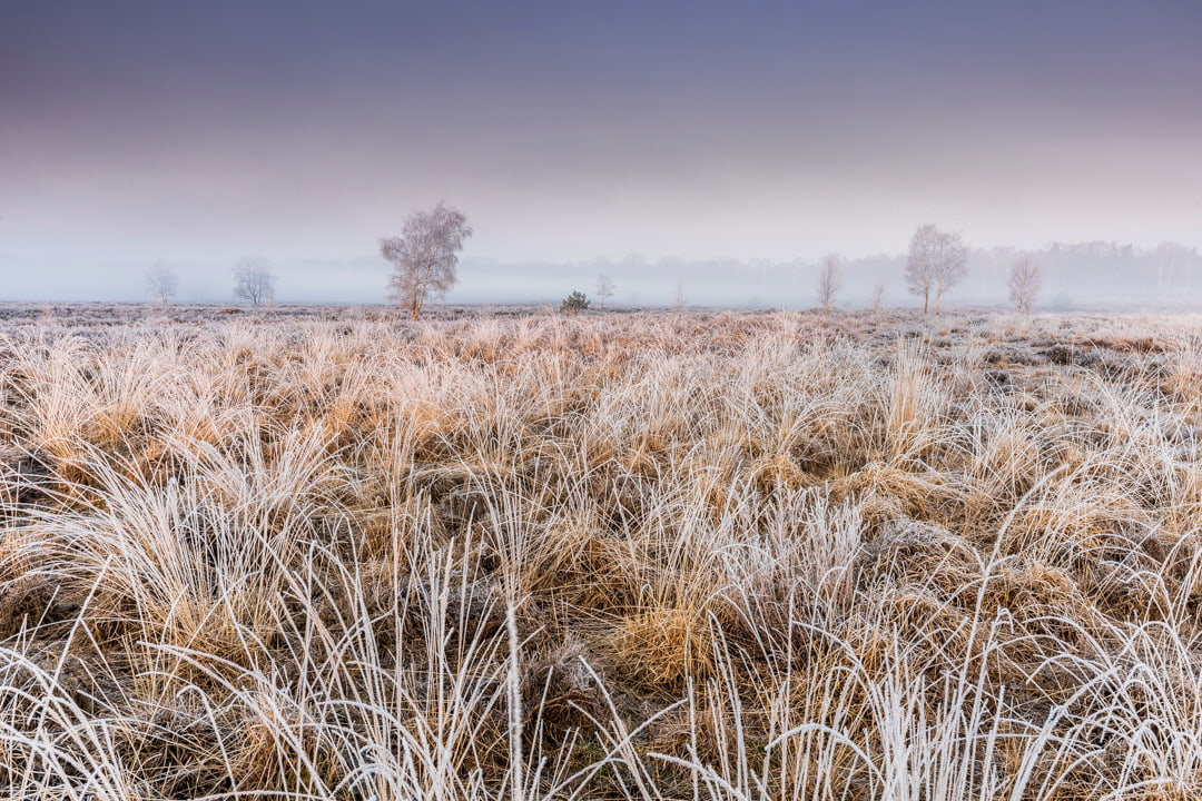 Winter-landschap-natuur-fotografie-workshop-limburg-venlo-maasduinen-Travelmarks-Photography-14