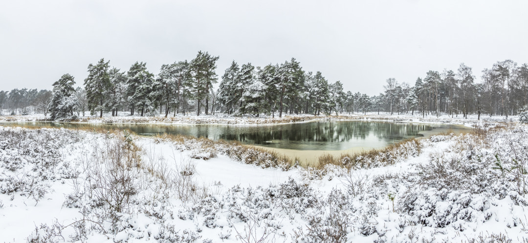 Winter-landschap-natuur-fotografie-workshop-limburg-venlo-maasduinen-Travelmarks-Photography-2