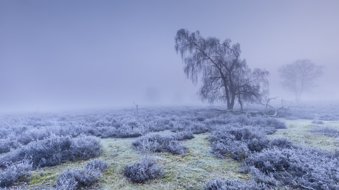 Winter-landschap-natuur-fotografie-workshop-limburg-venlo-maasduinen-Travelmarks-Photography-8