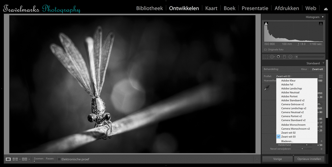 fotografie-workshop-lightroom-nabewerking-adobe-6