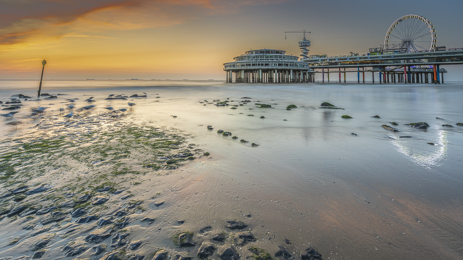 fotografiereis-fotoworkshop-cursus-natuur-landschap-macro-avondfotografie-filters-travelmarks-photography-maasduinen-paddenstoelen-scheveningen-de-pier-2