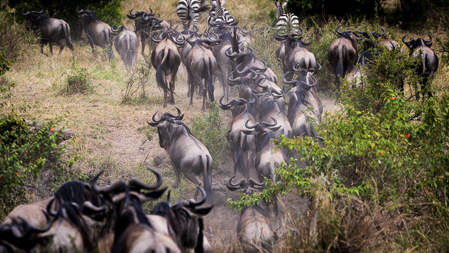 travelmarks-photography-fotografie-reizen-afrika-europa-cultuur-kenia-luxemburg-noorwegen-lofoten-workshops-landschap-natuur-23