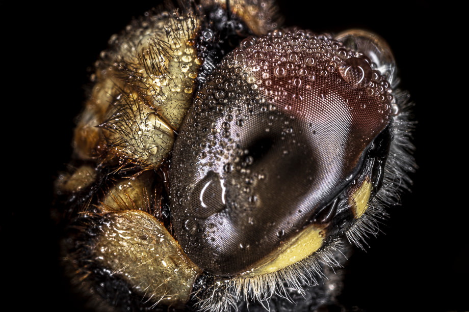 travelmarks-photography-natuur-landschap-workshop-fotografie-macro-dag-filters-kinderdijk-15