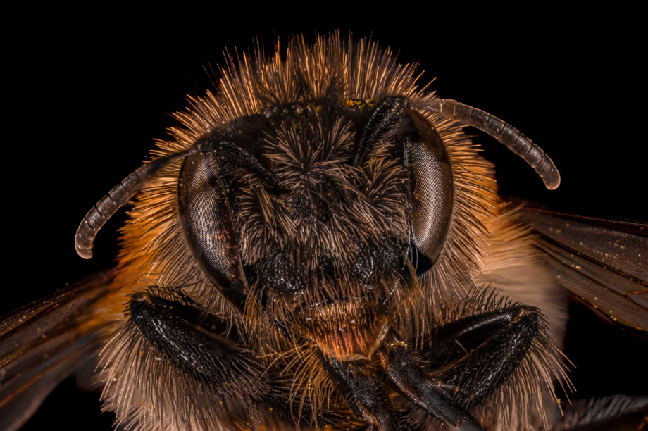 travelmarks-photography-workshop-fotografie-dag-macro-ultra-limburg-18